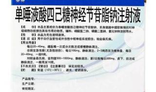 神经节苷脂钠注射液 神经节苷脂钠注射液