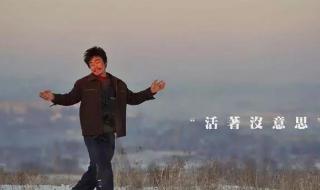 哈喽树先生 哈喽树先生