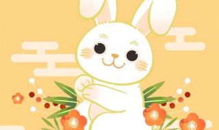 兔年新年贺卡怎么做 兔年新年贺卡怎么做