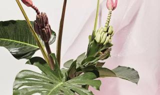 想学花艺将来开花店