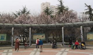 济南青年汽车有限公司 济南青年汽车有限公司