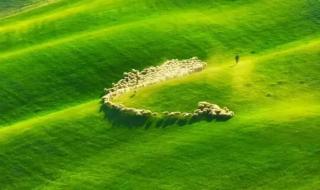 手心里的温柔简谱