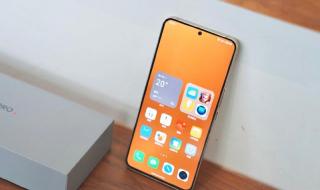 2023跳水世界杯赛程 2023跳水世界杯赛程