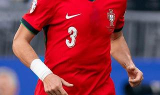 佩佩退出葡萄牙国家队